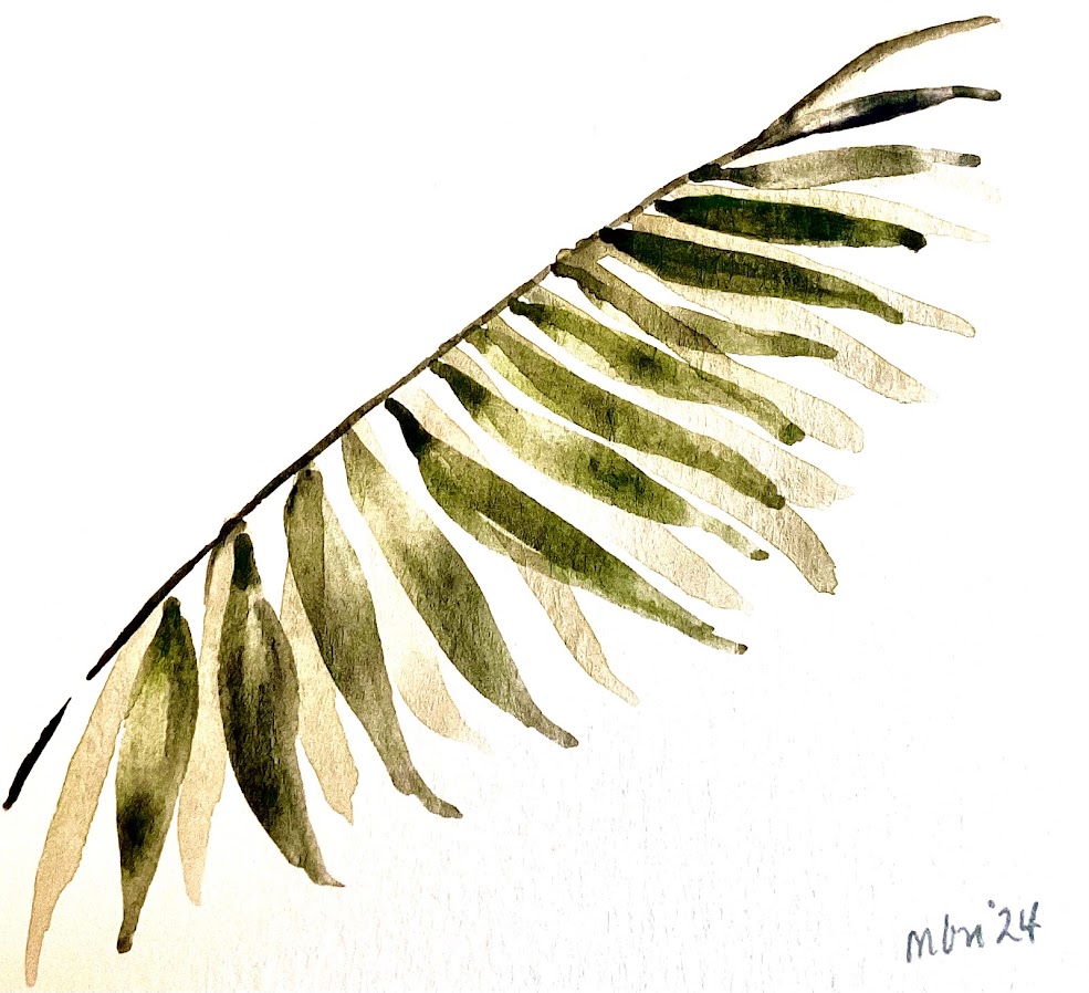 practicing ferns
